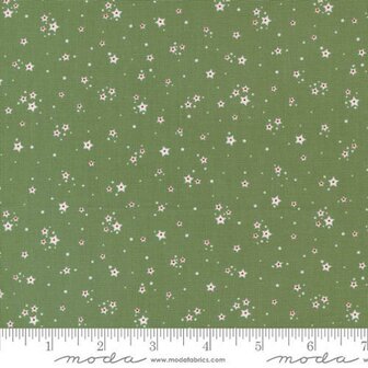 29187-23 Starberry Starry Green 